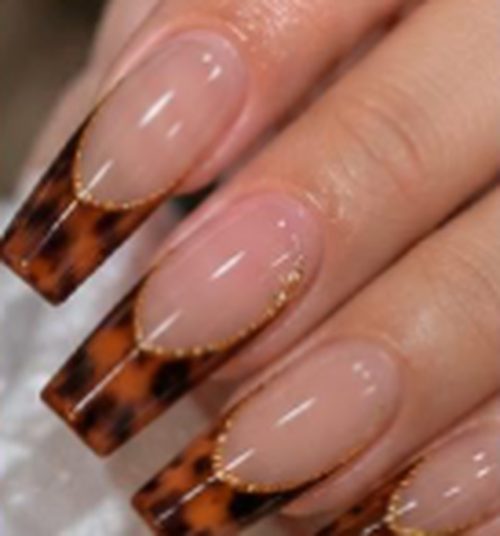 Nude nails with tortoiseshell French tips and gold lines